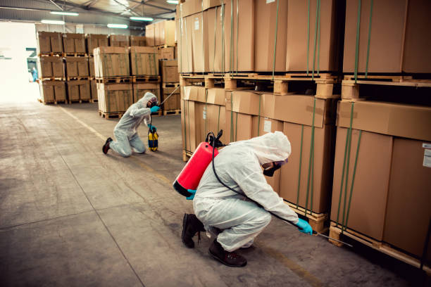 Best Mosquito Control Services  in Salisbury, MO