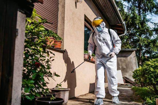 Best Bed Bug Extermination  in Salisbury, MO
