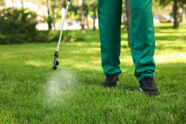 Best Termite Control Services  in Salisbury, MO