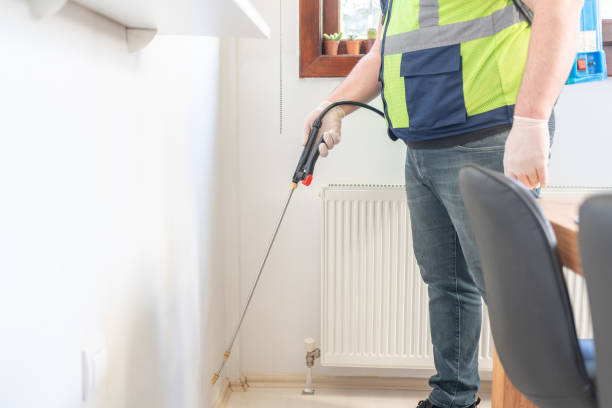 Best Local Pest Control Services  in Salisbury, MO