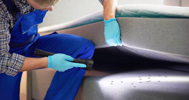 Best Pest Inspection Near Me  in Salisbury, MO