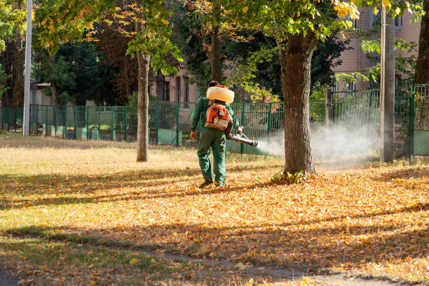 Best Bed Bug Extermination  in Salisbury, MO