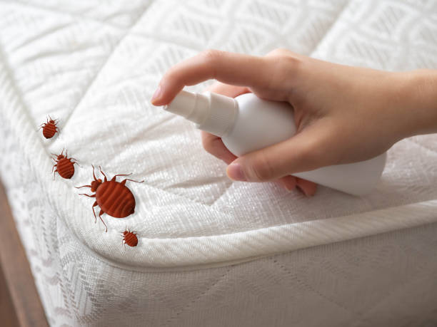 Best Pest Removal Services  in Salisbury, MO
