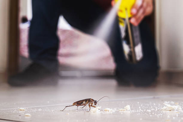 Best Commercial Pest Control Services  in Salisbury, MO