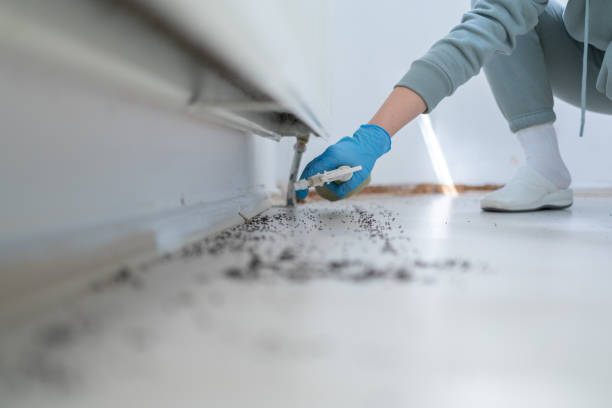 Best Affordable Pest Control Services  in Salisbury, MO